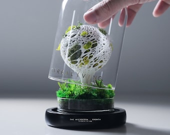 The Microcosm (S) - Growth, Mushroom Inspired 3D Printed Preserved Moss Terrarium, Minimalist Desk Decor by TerraLiving