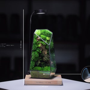 Preserved Moss Terrarium: The Vertex ZERO S Pure Moss Wall, ZERO Moss Geometric Terrarium, Minimalist Desk Decor by TerraLiving image 8