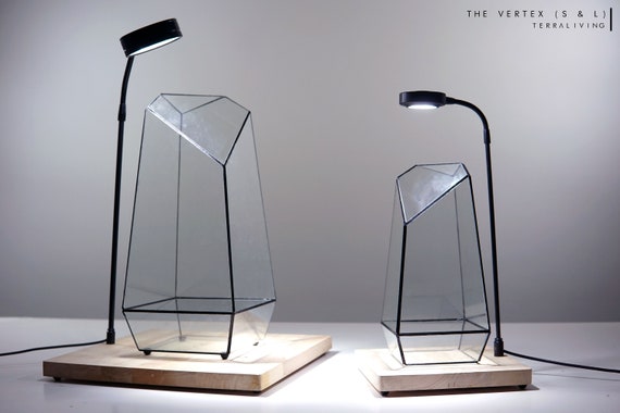 Ready-to-fly: The Vertex - Glass Vessels, Geometric Terrarium, Exclusive design by TerraLiving Gallery