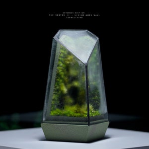 Live Moss Terrarium: The Vertex II Living Moss Wall, A Dormant Moss CryoMoss Mini ecocystem, living art by TerraLiving. image 3