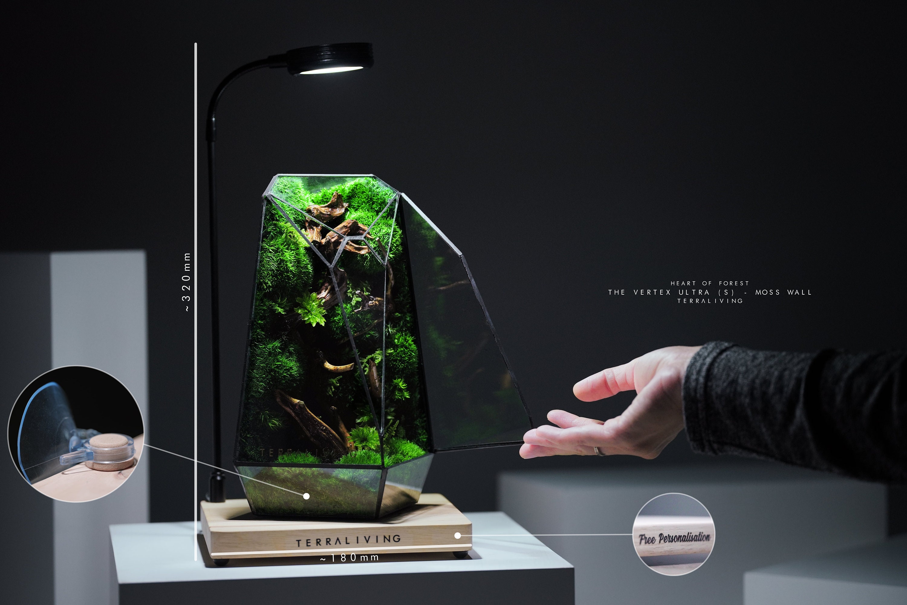 2024 Pre-order: the Vertex Ultra S Geometric Preserved Moss - Etsy