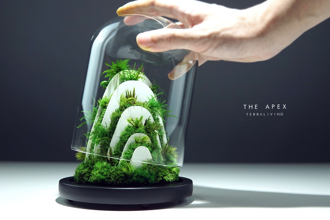 Pre-order: the Rainforest Apex Botanical Sculpture - Etsy