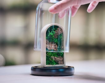 Preserved Moss Terrarium: The Memento S (Moss Memento) - ZERO Moss Wall Terrarium with wooden 3D printed structure by TerraLiving