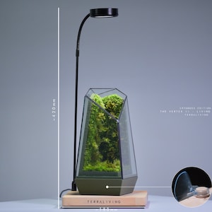 Live Moss Terrarium: The Vertex II Living Moss Wall, A Dormant Moss CryoMoss Mini ecocystem, living art by TerraLiving. Full Set + T.Light