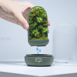 CryoMoss Live Moss Terrarium: The Time Capsule (S) - Mini Ecosystem Desk Decor by TerraLiving