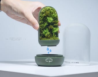 Live Moss Terrarium: The Time Capsule Mini (S) CryoMoss Edition, Mini Living Moss Wall, A Dormant Moss ecocystem by TerraLiving.