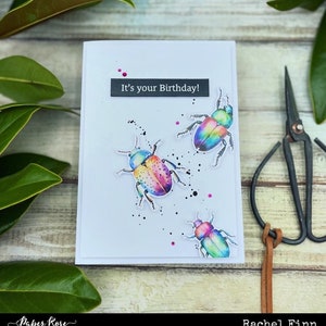 Birthday bugs, Rainbow