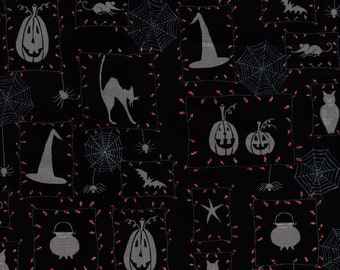 Cheeky Pumpkins by DT-K Signature for Studio-e Fabrics, 1-1/3 yard piece of fabric, End of the bolt, 2964-99