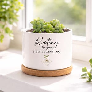 Divorce Care Gift, Rooting For Your New Beginning Planter, Encouragement Gift for Friend, New Chapter Gift, Inspirational Keepsake