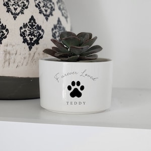 May include: White ceramic planter with the text "Forever Loved" and a black paw print. The name "Teddy" is written below the paw print. A small succulent plant is in the planter.
