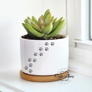 Puede incluir: Maceta de cerámica blanca con un diseño de huellas de patas grises. La maceta está llena de una planta suculenta verde y se asienta sobre una base de madera. La maceta tiene el texto "Handcrafted Rustic Akers Decor & Signs" en la base.