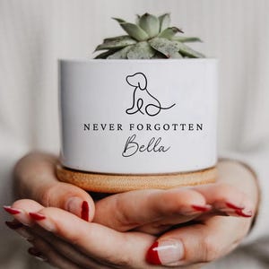Pet Memorial Planter