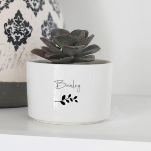 Birthday Gift for Friend, Coworker Gift, Live Succulent Gift, Teachers, Bridesmaid, Custom Plant Pot, Personalized Mini Planter, Unique Gift