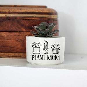 Succulent Gift, Live Plant Gift, Gift for Plant Lover, Indoor Planter, Personalized Planter, Desk Accessory, Cubicle Decor, Mini Succulent