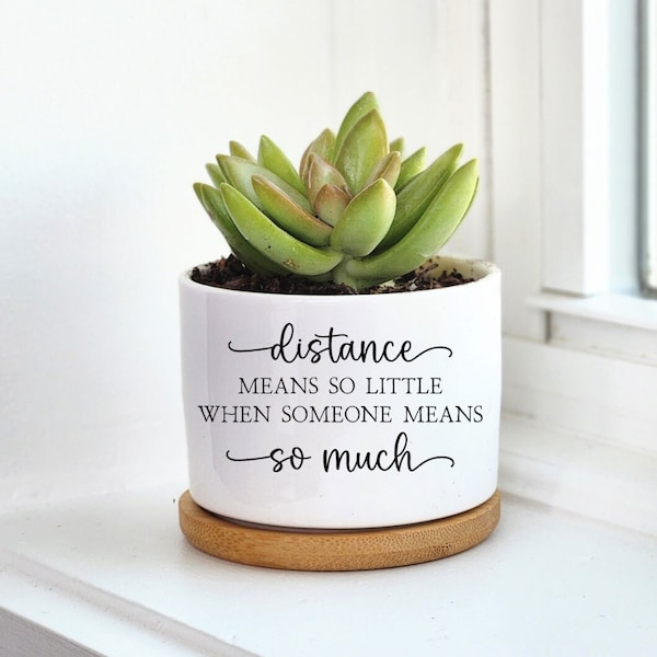 Distance Means so Little, Long Distance Friendship, Moving Gift, Long Distance Family, Long Distance Relationship Gifts, Live Succulent