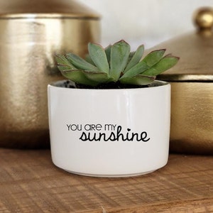 You Are My Sunshine Gifts, Mini Succulent Planter, Plant Gift, Sentimental Gift, Planter Gift Idea, Personalized Flower Pots, Gift for Child