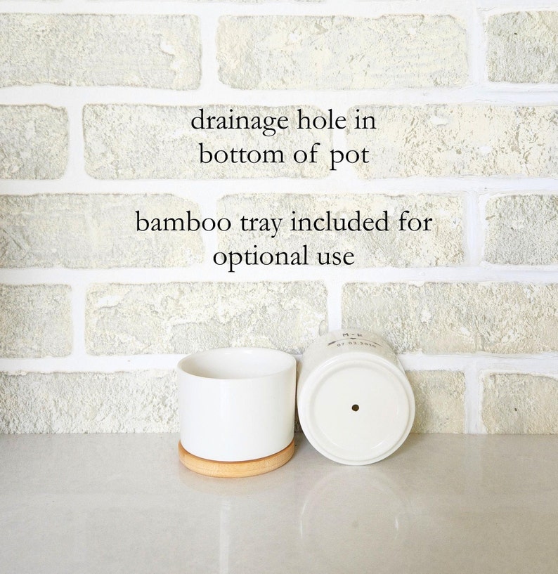 May include: White ceramic plant pot with a bamboo tray. The pot has a drainage hole in the base. The image text reads "drainage hole in bottom of pot" and "bamboo tray included for optional use".