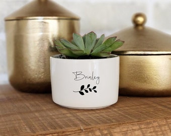 Personalized Flower Pot, Friend Birthday, Coworker Gift, Teacher Appreciation, Best Friend Gift, Custom Planter, Live Succulent Gift