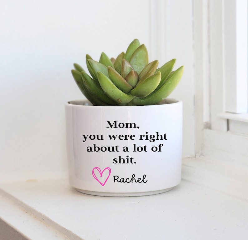 Divertente regalo per la festa della mamma, fioriera personalizzata per la mamma, mamma che avevi ragione, fioriera divertente, regalo personalizzato, regalo succulento, regalo di compleanno per la mamma immagine 1