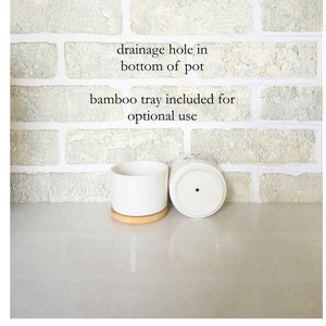 Pu&ograve; includere: Due vasi di piante in ceramica bianca con fori di drenaggio sul fondo. I vasi sono su una superficie di legno marrone chiaro. &Egrave; inclusa una vaschetta in bamb&ugrave; per un uso opzionale.