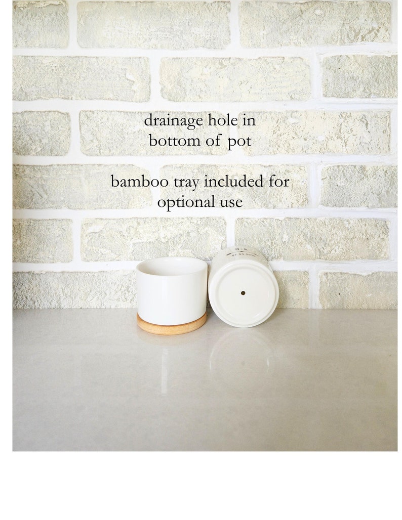 Pu&ograve; includere: Due vasi di piante in ceramica bianca con fori di drenaggio sul fondo. I vasi sono su una superficie di legno marrone chiaro. &Egrave; inclusa una vaschetta in bamb&ugrave; per un uso opzionale.
