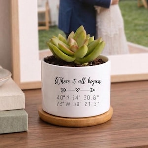 Puede incluir: Una maceta de cerámica blanca con una planta suculenta, sobre un posavasos de madera. La maceta tiene el texto "Where it all began" con coordenadas. La suculenta tiene hojas verdes y rojizas.