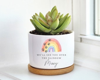 Ponte dell'arcobaleno, regalo commemorativo per animali domestici, fioriera commemorativa per animali domestici, regalo commemorativo per cani, memoriale per animali domestici, perdita del cane, fioriera regalo con piante grasse