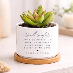 Soul Sister Gift, Best Friend Gift for Her, Personalized Friend Planter, Custom Succulent Pot, Friendship Birthday Gift, Soul Sister Planter