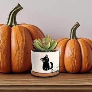 Cat Planter, Cat Plant Pot, Air Plant Holder, Halloween Decorations, Cute Succulent Planter, Mini Succulent Planter