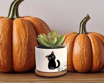 Cat Planter, Cat Plant Pot, Air Plant Holder, Halloween Decorations, Cute Succulent Planter, Mini Succulent Planter