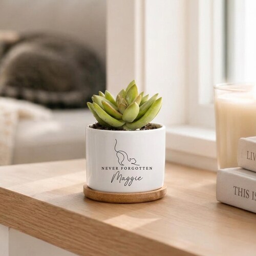 Maceta conmemorativa, regalo en memoria de un gato, regalo de recuerdo, regalo en memoria de una mascota, pérdida de una mascota, pérdida de un gato, maceta personalizada, nunca olvidado