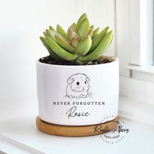 Puede incluir: Maceta de cerámica blanca con un dibujo de línea negra de un hámster y el texto "Never Forgotten Rosie". La maceta está llena de una suculenta verde y se asienta sobre una base de madera. La base tiene el texto "Rustic Ahens Decor & Signs" en negro.