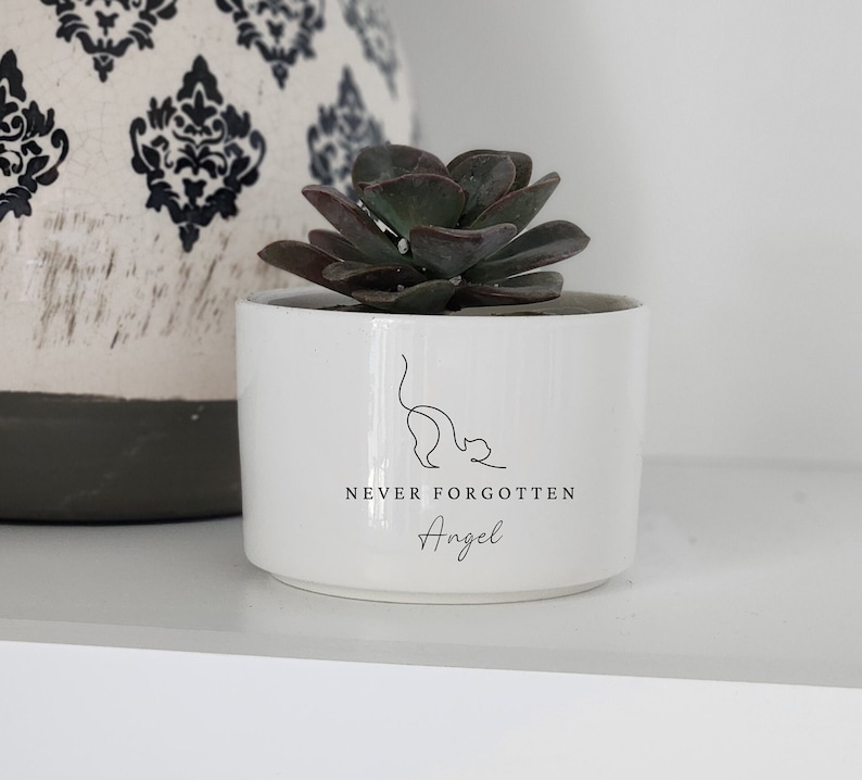 Pu&ograve; includere: Vaso in ceramica bianca con una pianta grassa. Il vaso ha un disegno a linea nera di un gatto e il testo "NEVER FORGOTTEN Angel".