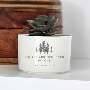 May include: White ceramic planter with a succulent plant. The planter has a black and white design of trees and the text "Rooted and Grounded in Love Ephesians 3:17".