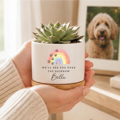 Puente Arcoíris, Regalo en Memoria de una Mascota, Maceta en Memoria de una Mascota, Regalo en Memoria de un Perro, Memorial de Mascotas, Pérdida de un Perro, Maceta de Regalo con Suculentas