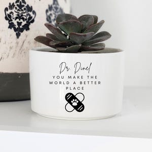 Cadeau voor dierenarts, gepersonaliseerd bedankje voor dierenarts, kleine plantpot, mini succulent cadeau, technisch cadeau dierenarts, gepersonaliseerde plantenbak