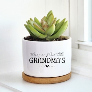 Planter For Grandma, Mother's Day Gift, Mini Succulent Planter, Live Plant, Gift for Grandmother, Flower Pot, No Place Like Grandma's