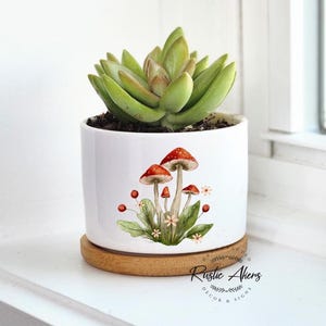 Mushroom Motif, Succulent Planter, Cute Planter, Red Mushrooms, Mushroom Decor, Live Succulent Gift, Mushroom Gift, Fall