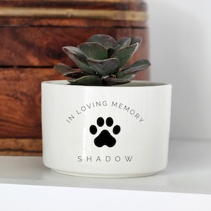 Personalized Pet Memorial Gift, Custom Flower Pot with Name, Loss of Pet, Personalized Succulent Planter