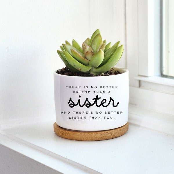 Sister Gift, There's No Better Friend Than a Sister, Sister Birthday Gift, Personalized Planter, Custom Plant Pot, Succulent Gift