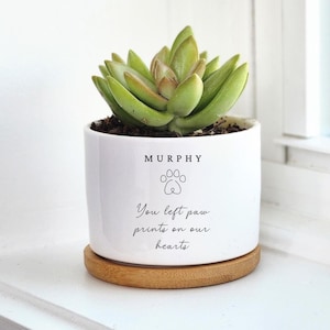 Pet Memorial Planter Personalized | Dog & Cat Loss Gift | You Left Paw Prints on Our Hearts | Custom Flower Pot, p8