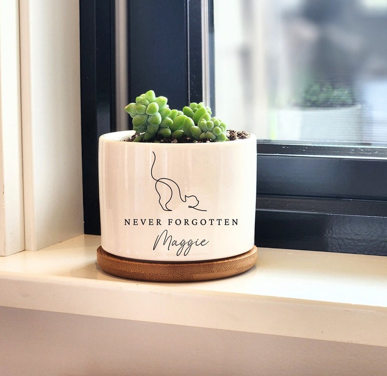 Pu&ograve; includere: Un vaso di ceramica bianco con un disegno a linea nera di un gatto e il testo "NEVER FORGOTTEN Maggie". Il vaso &egrave; riempito con una pianta grassa verde e poggia su una base di legno.