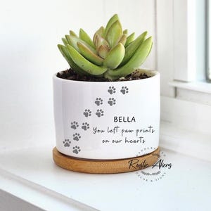 Peut inclure: Un pot en céramique blanche avec une plante succulente et un motif d'empreintes de pattes. Le pot porte le texte "BELLA You left paw prints on our hearts" et une base en bois.