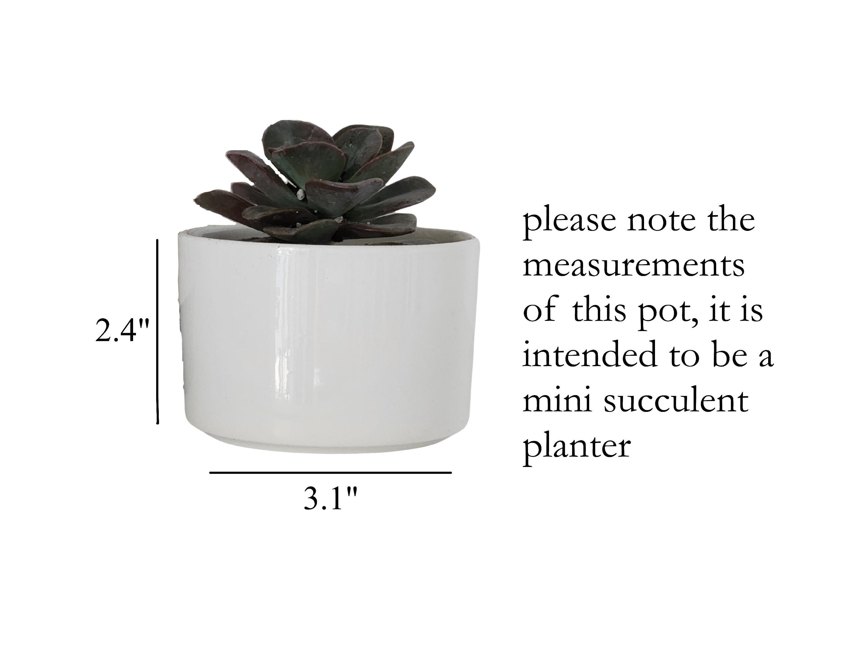 Thank you Gift for Teacher, End of Year Gift, Personalized Planter, Teacher Appreciation, Desk Planter, Custom Succulent Pot, Teacher Gift
