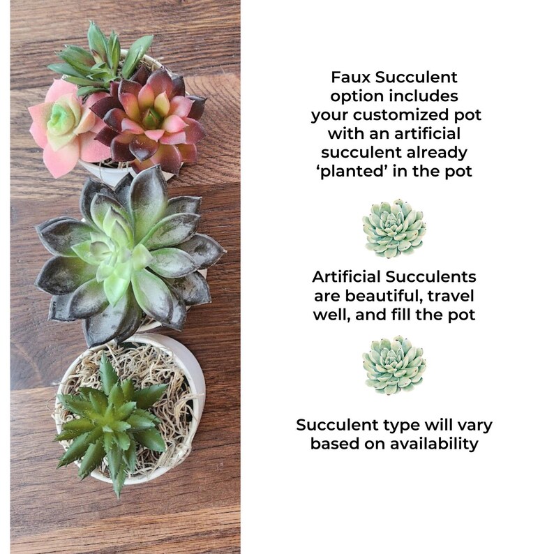 Lehrer-Dankeschön-Geschenk - personalisierter Wertschätzungs-Pflanzer für Lehrer, Mentor oder Coach, AP1 pot w/faux succulent