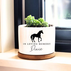 Horse Memorial, Pet Memorial Planter, In Loving Memory, Memorial for Horse, Personalized Mini Succulent Pot, Plant Memorial, Plant Gift