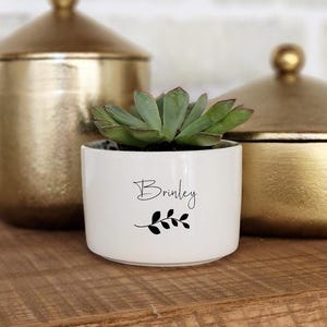 Personalized Flower Pot, Name Flower Pot, Custom Succulent Planter, Live Succulent Gift, Personalized Planter, Mini Plant Pot
