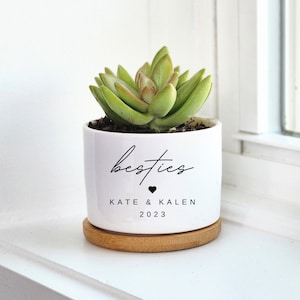 Presente de aniversário do melhor amigo, plantador personalizado, presente de besties, presente para amigo, mini plantador de suculentas, planta viva