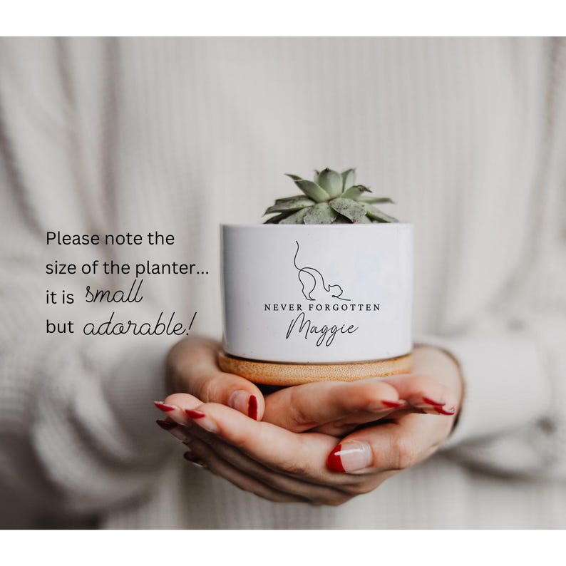 vaso commemorativo, regalo commemorativo per gatti, regalo di ricordo, regalo commemorativo per animali domestici, perdita di un animale domestico, perdita di un gatto, vaso di fiori personalizzato, mai dimenticato immagine 2