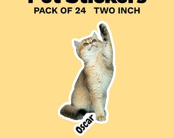 Custom Pet Stickers from Photo, Personalized Dog or Cat Die Cut Sticker with Name, Pet Portrait Gift for Pet Lover, Pet Memorial